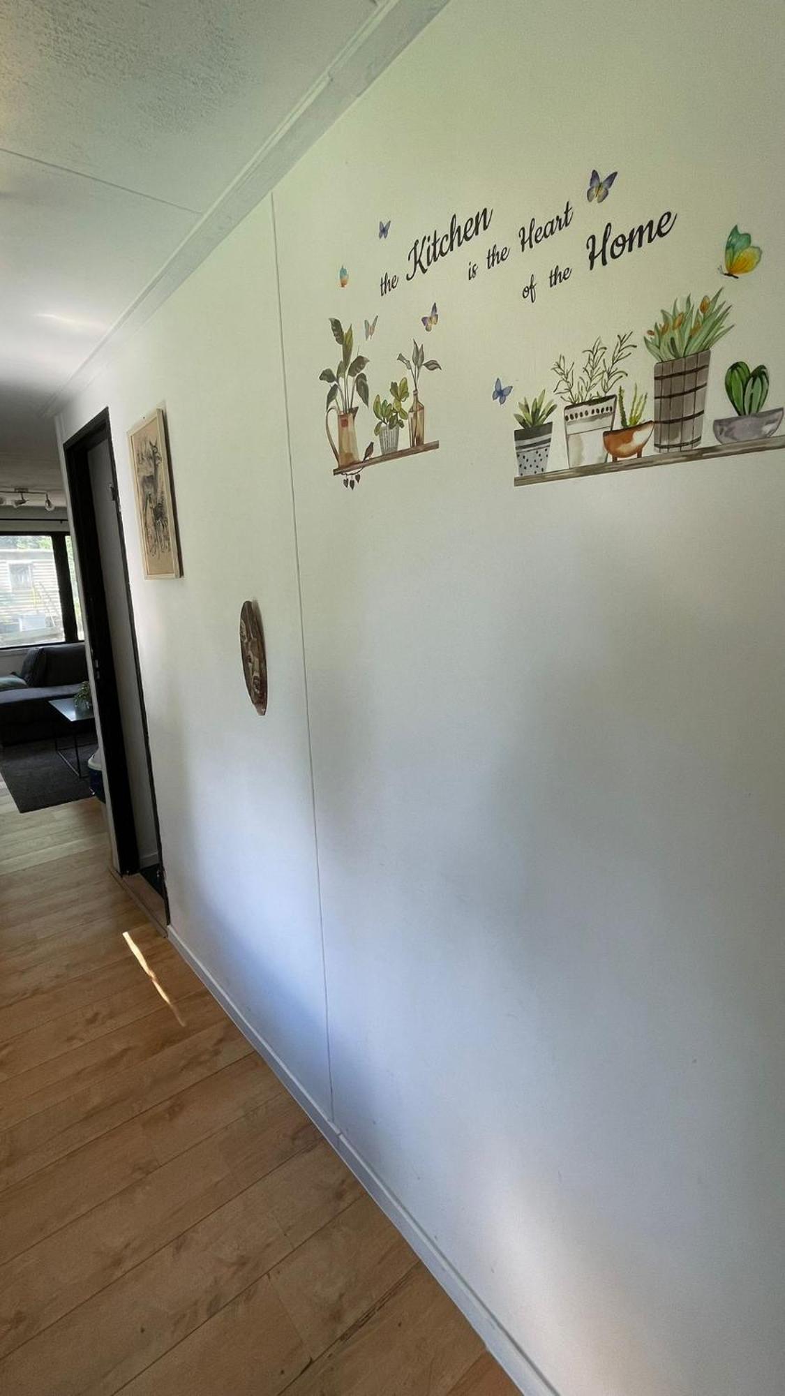 Chalet Kokomo - Gelegen In Bosrijkgebied Van Drenthe 에젝트 외부 사진