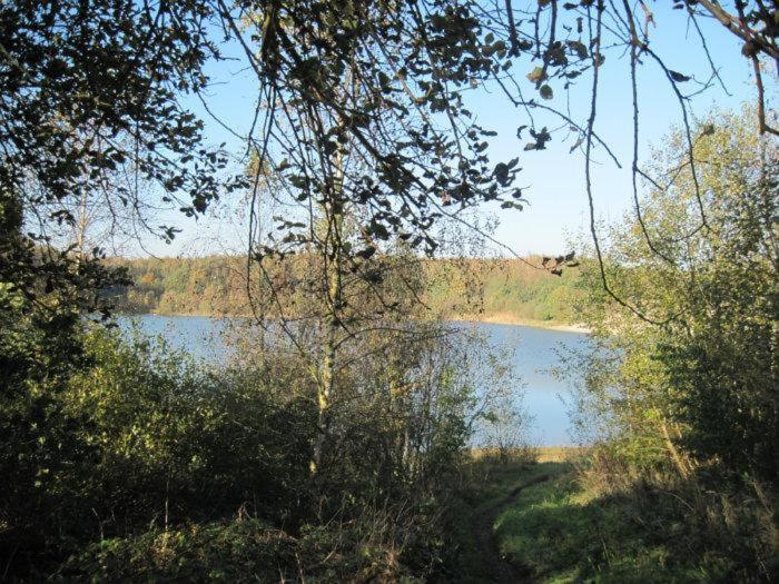 Chalet Kokomo - Gelegen In Bosrijkgebied Van Drenthe 에젝트 외부 사진